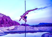 BIRD OF PARADISE VIRTUAL POLE CLASS RECORDING